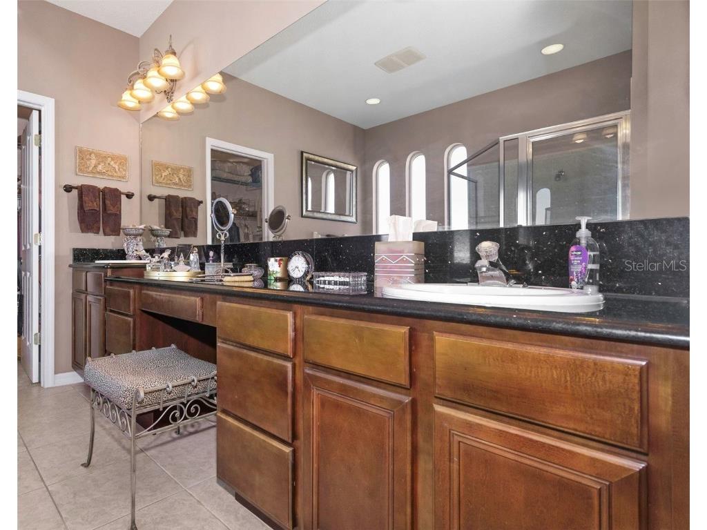 8737 Linebrook Drive Trinity FL 34655 W7880051 image31