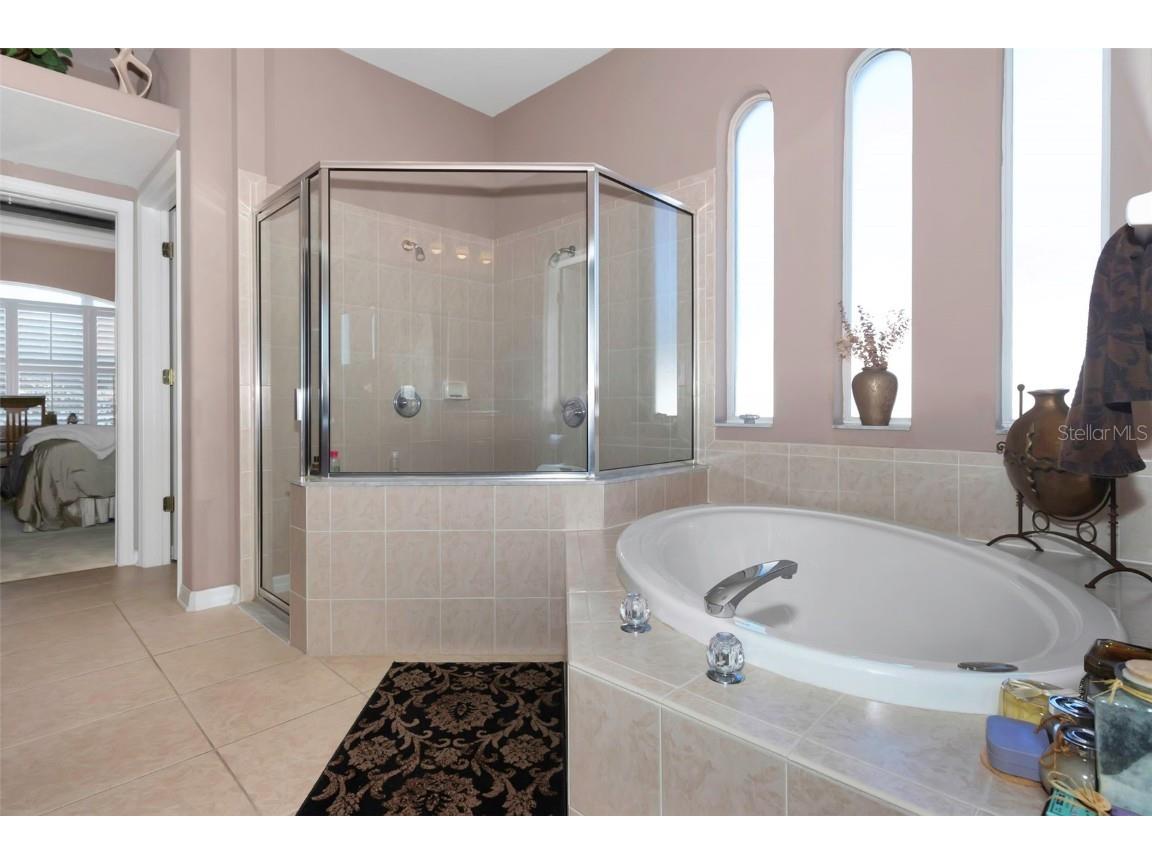 8737 Linebrook Drive Trinity FL 34655 W7880051 image33