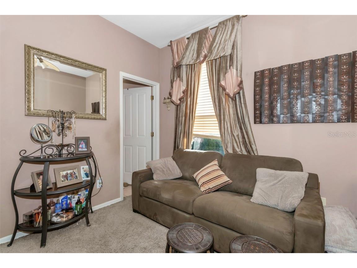 8737 Linebrook Drive Trinity FL 34655 W7880051 image37