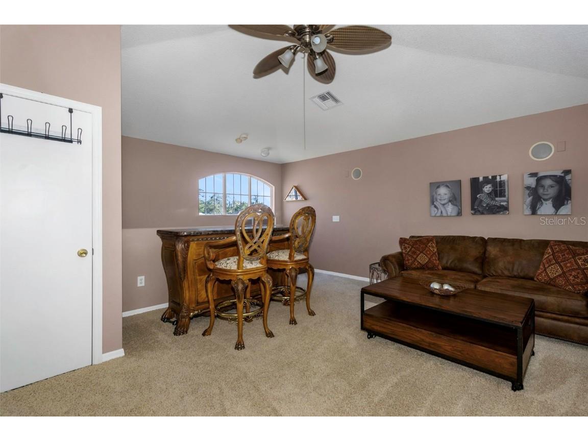 8737 Linebrook Drive Trinity FL 34655 W7880051 image39