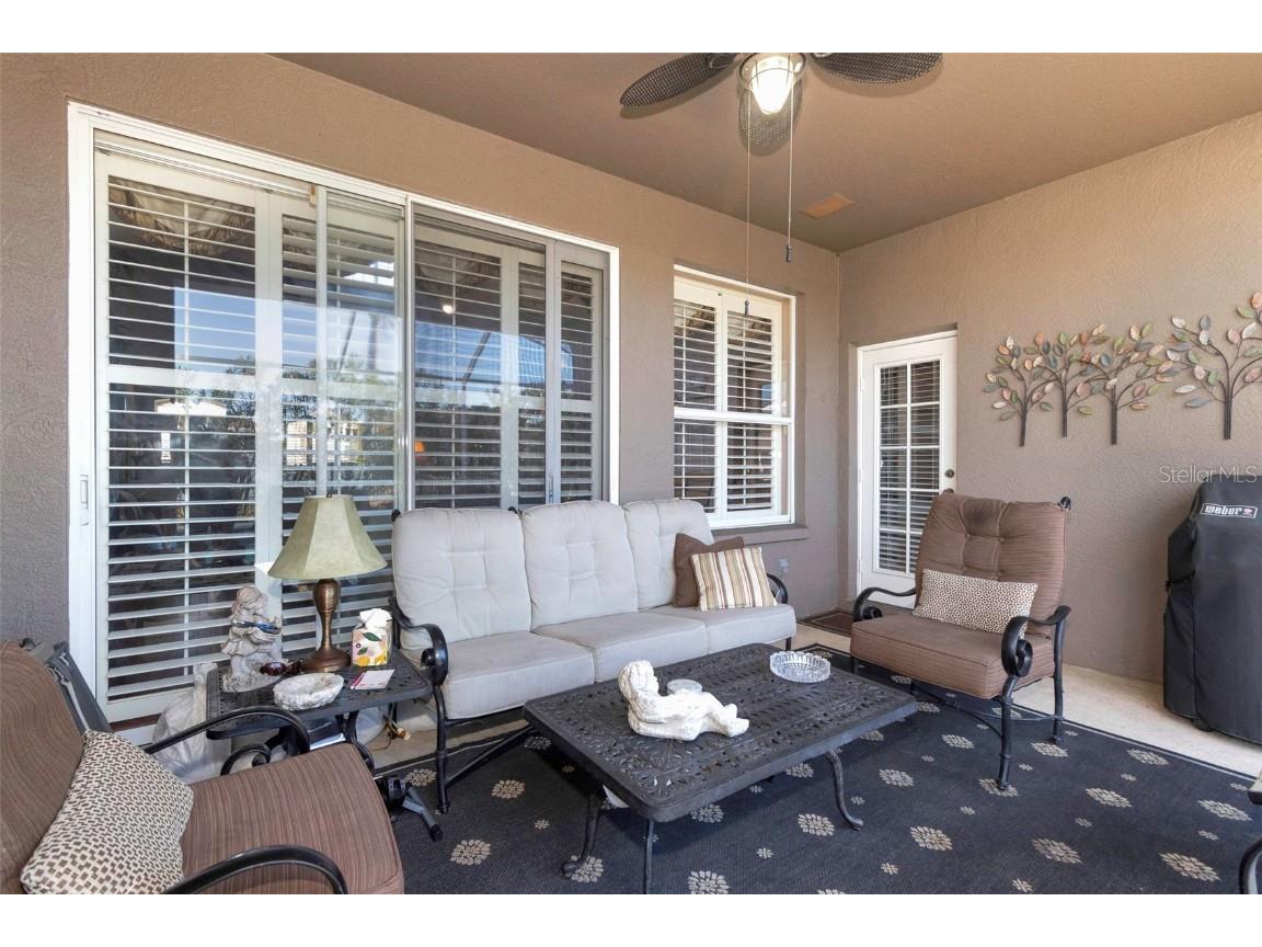 8737 Linebrook Drive Trinity FL 34655 W7880051 image44