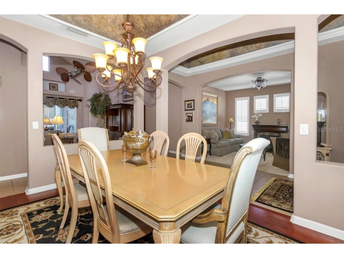 8737 Linebrook Drive Trinity FL 34655 W7880051 image6