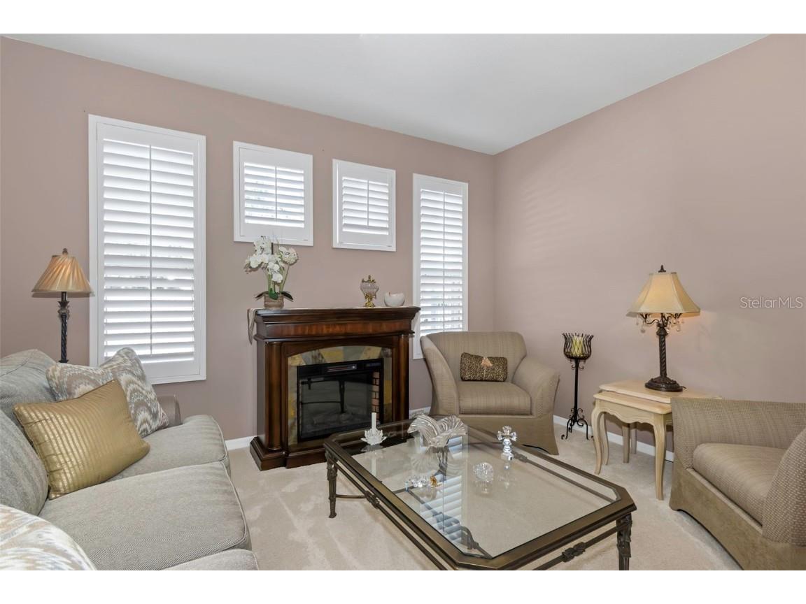 8737 Linebrook Drive Trinity FL 34655 W7880051 image9