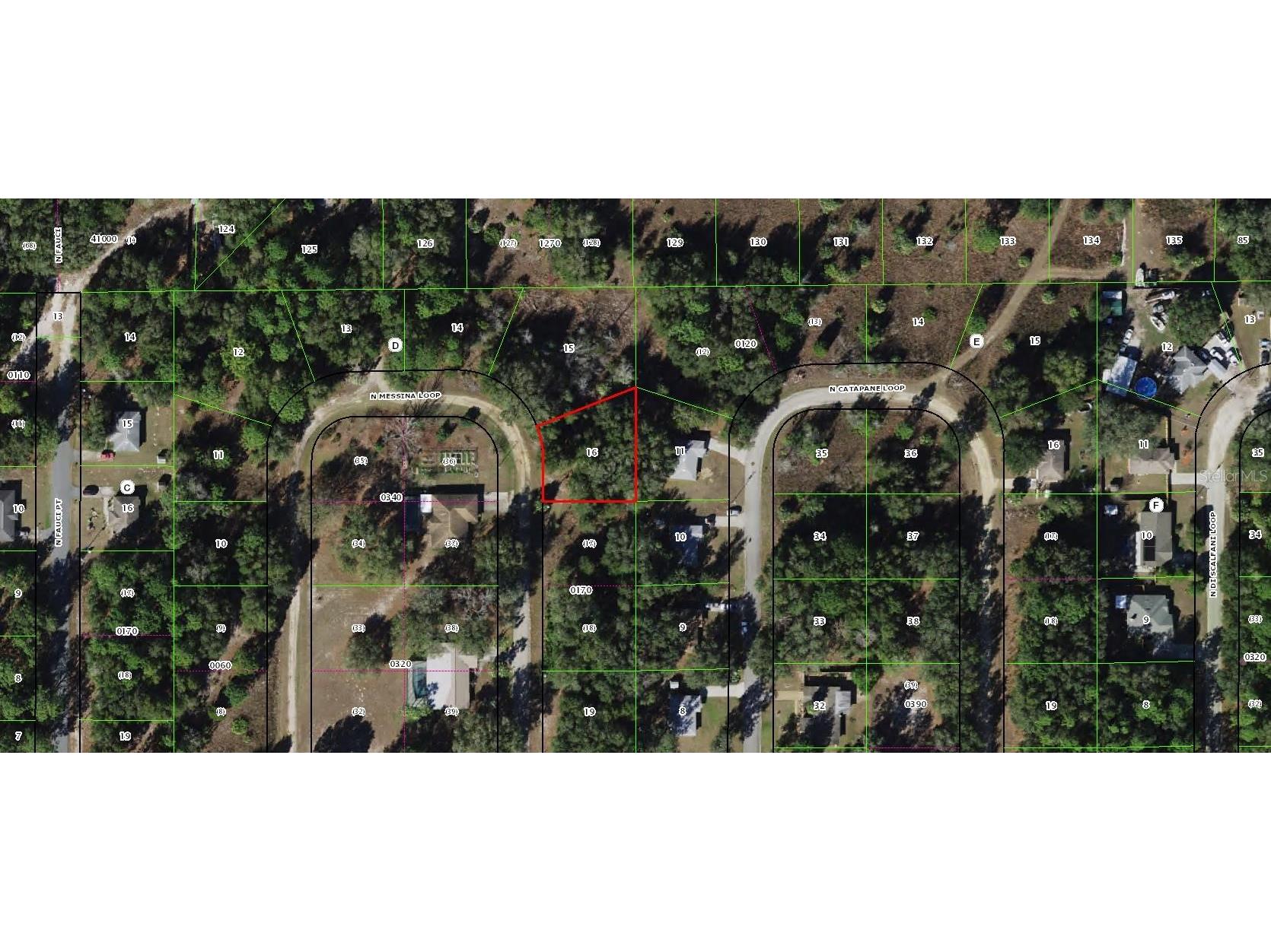 8737 N Messina Loop Crystal River FL 34428 OM668155 image1