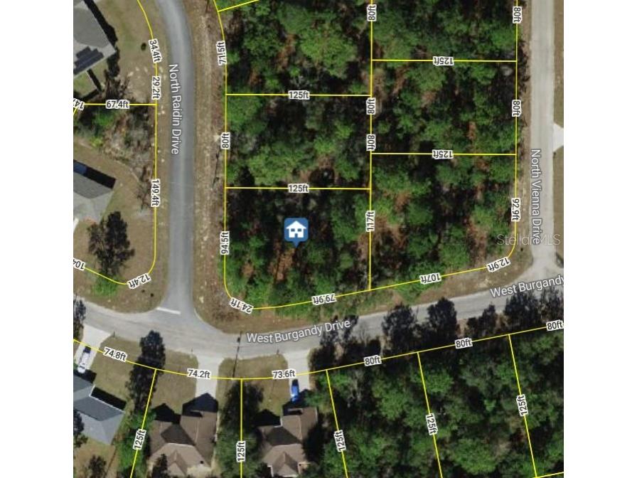 8737 N Raidin Drive Citrus Springs FL 34433 W7878993 image1