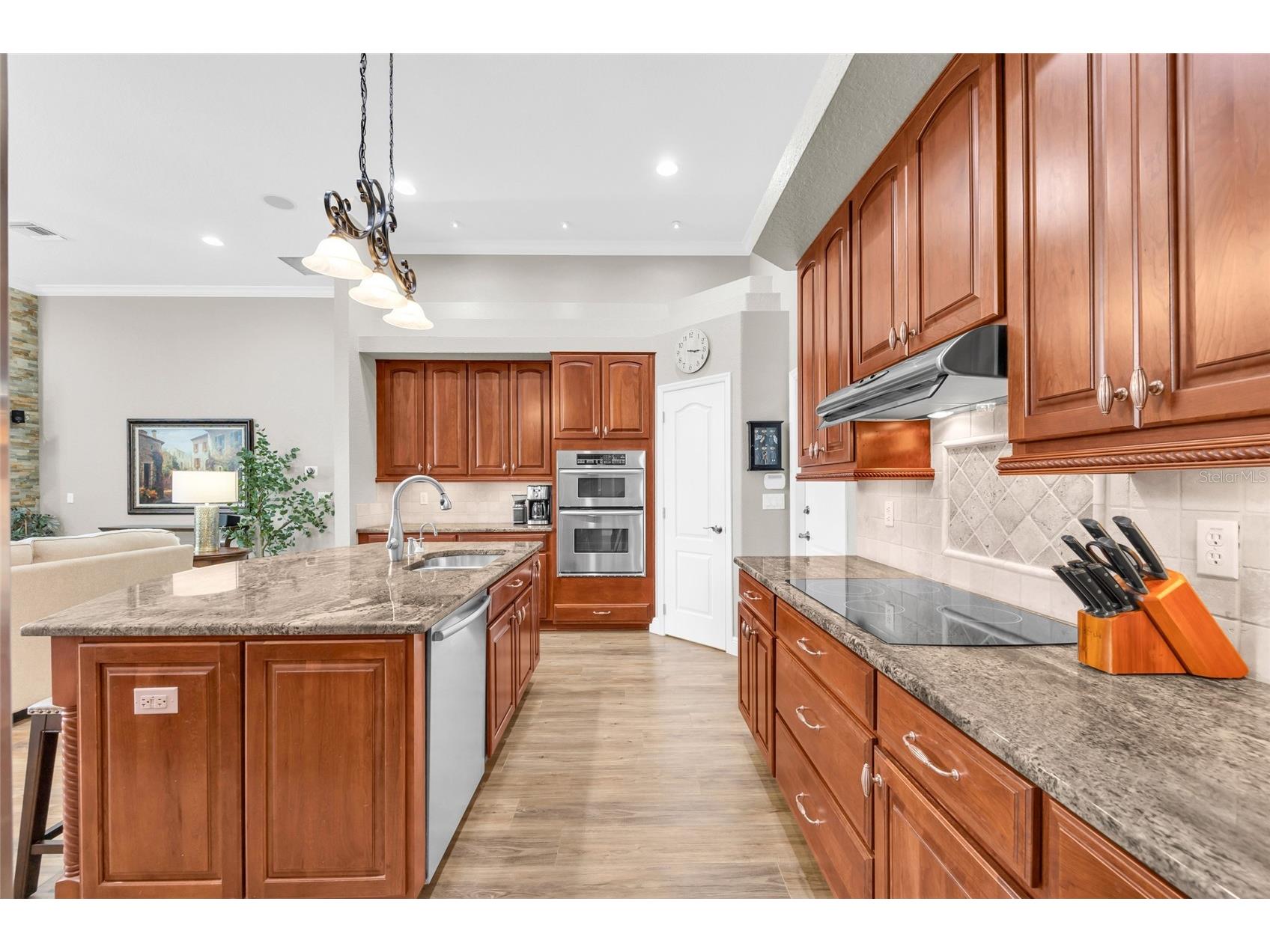 8738 Great Cove Drive Orlando FL 32819 O6393065 image14
