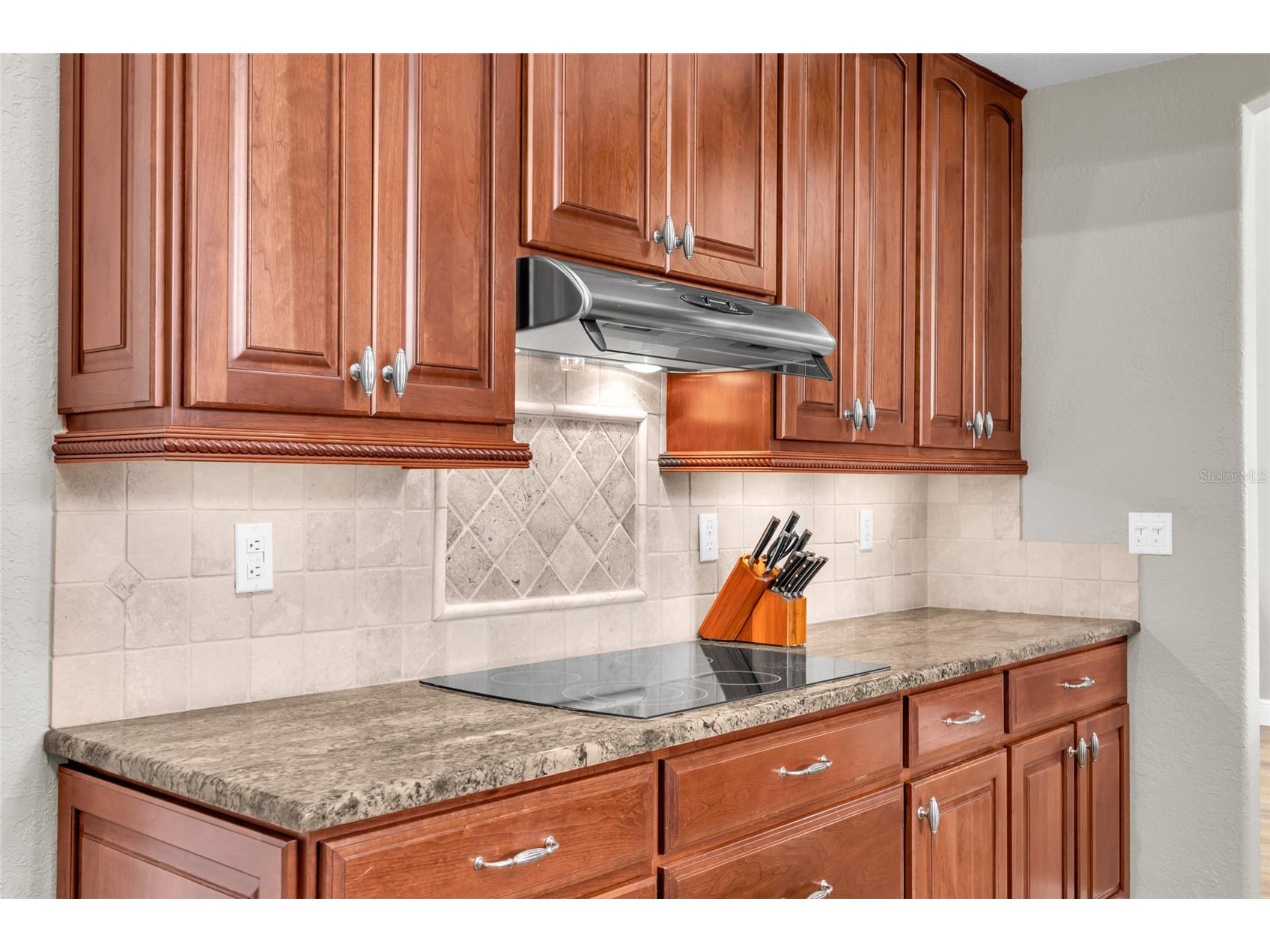 8738 Great Cove Drive Orlando FL 32819 O6393065 image16
