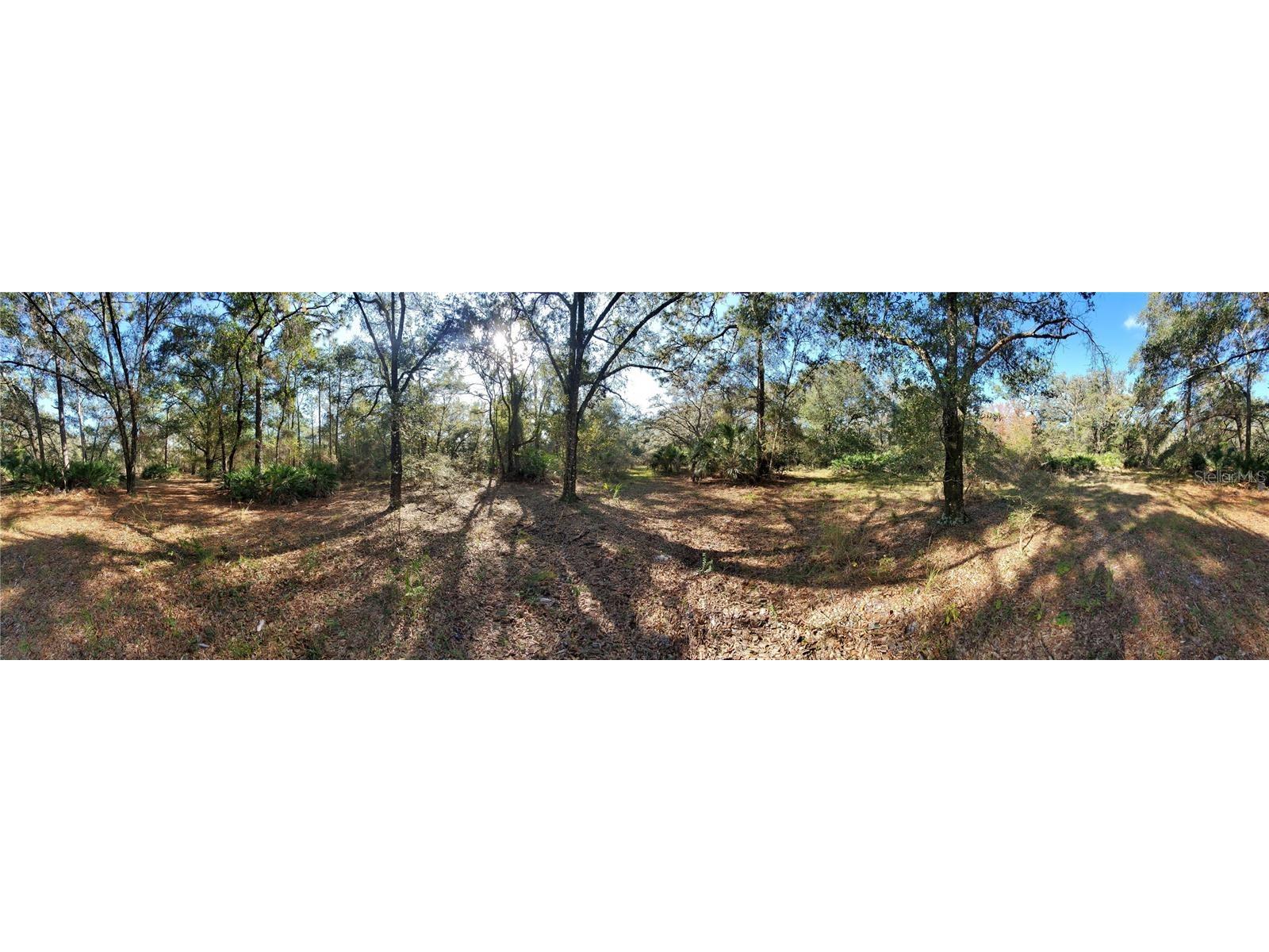 8738 Lindy Lane New Port Richey FL 34655 W7851874 image1