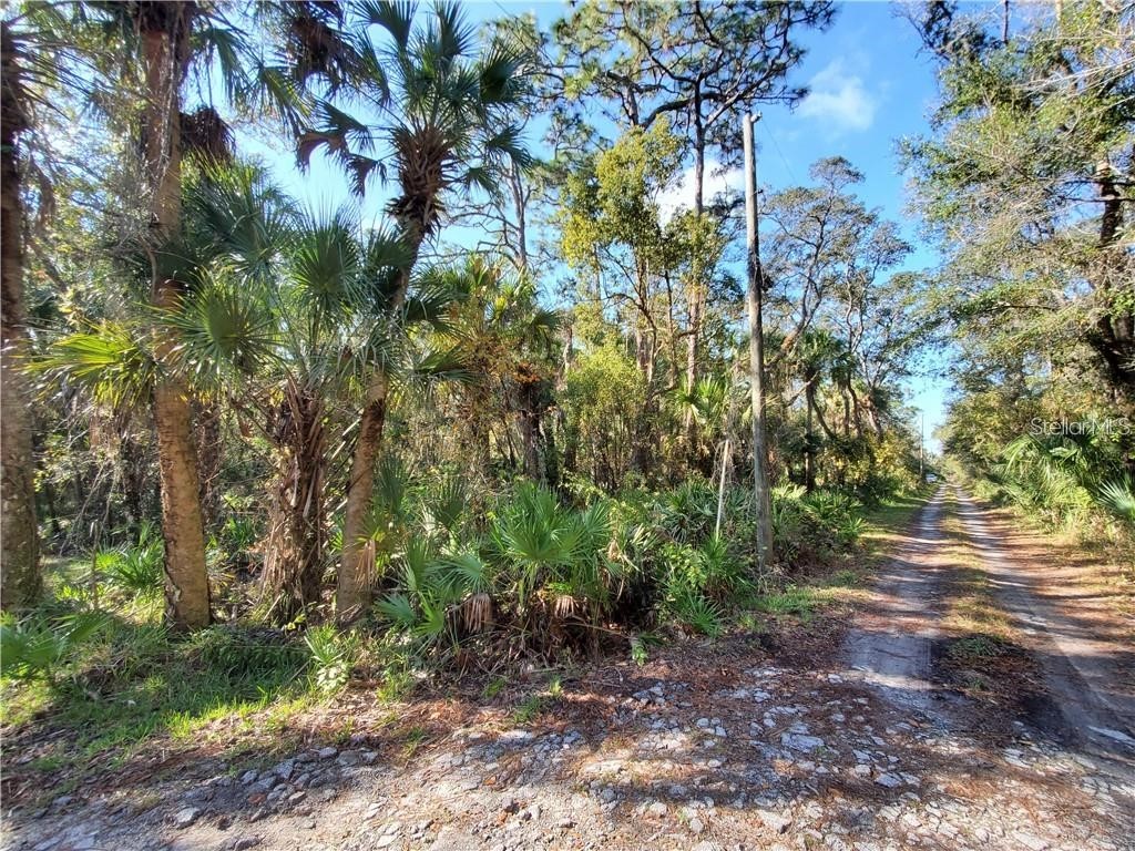 8738 Lindy Lane New Port Richey FL 34655 W7851874 image2