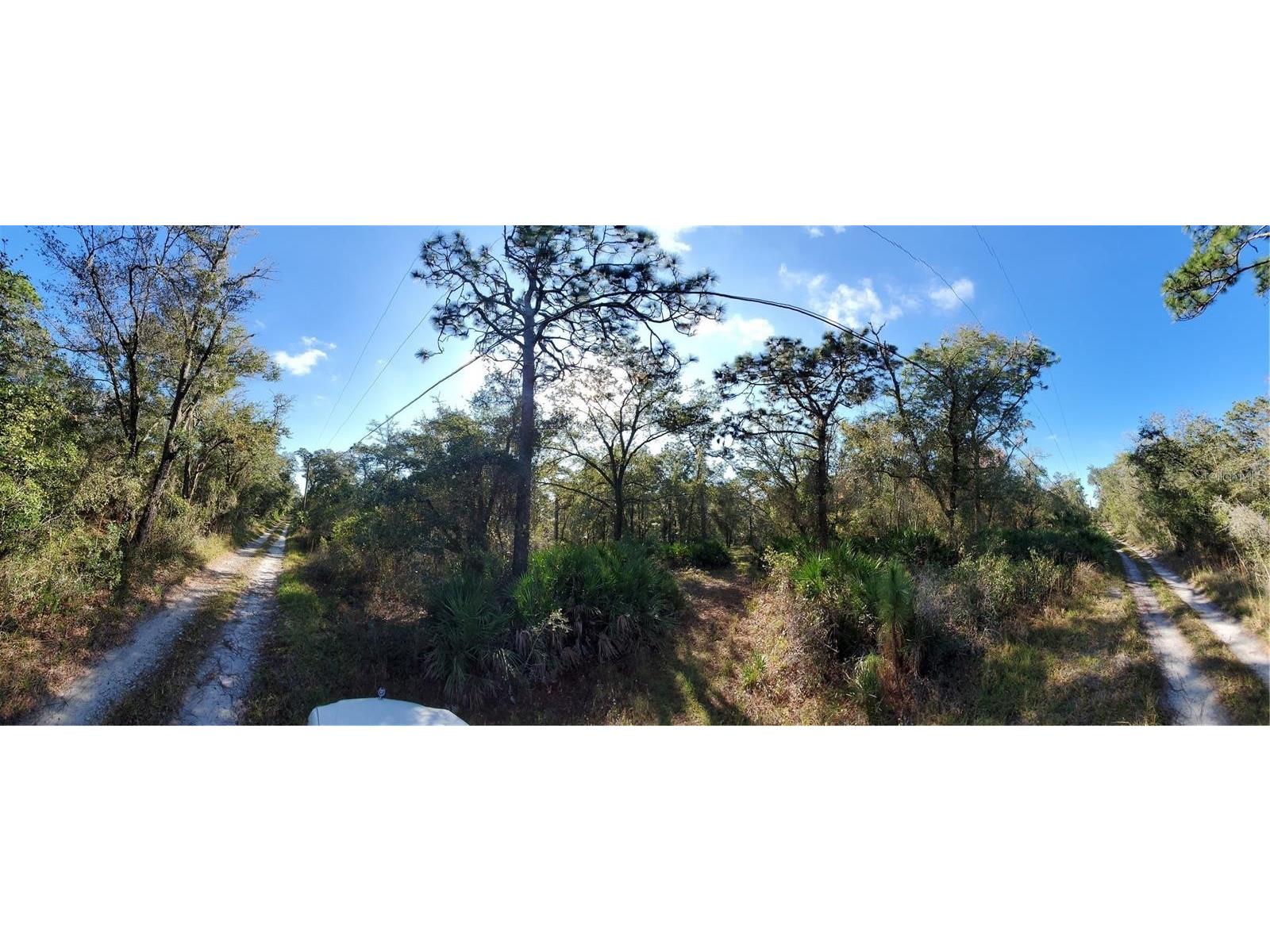 8738 Lindy Lane New Port Richey FL 34655 W7851874 image3