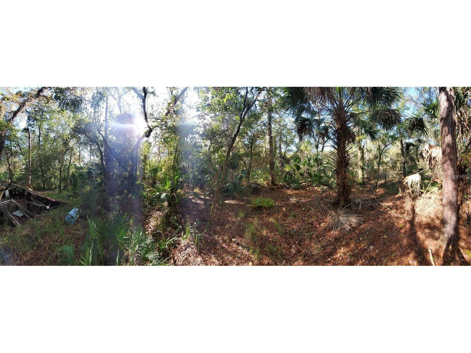 8738 Lindy Lane New Port Richey FL 34655 W7851874 image4