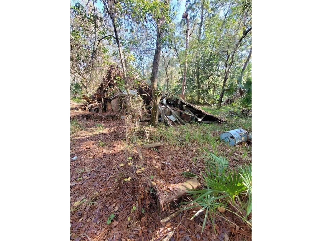 8738 Lindy Lane New Port Richey FL 34655 W7851874 image8