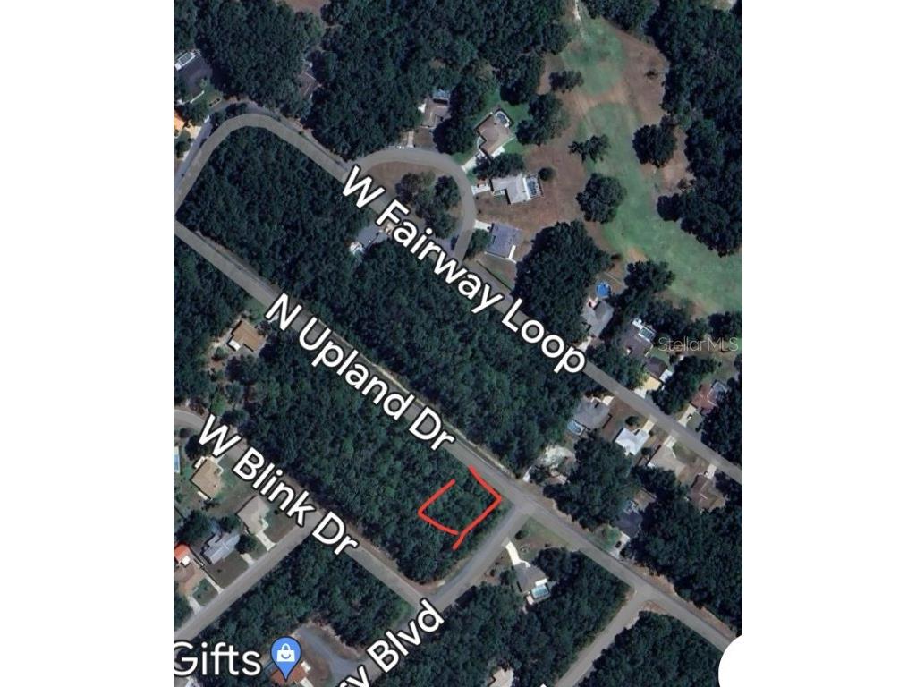 8739 N Upland Drive Citrus Springs FL 34434 T3542843 image1