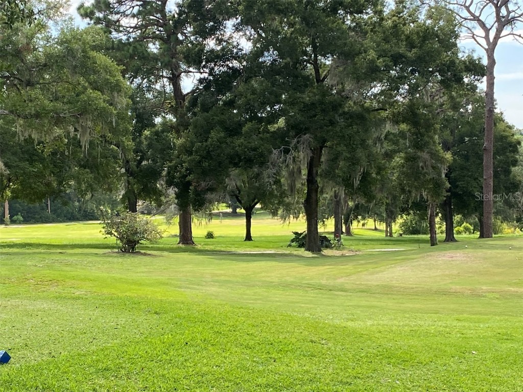 8739 N Upland Drive Citrus Springs FL 34434 T3542843 image5