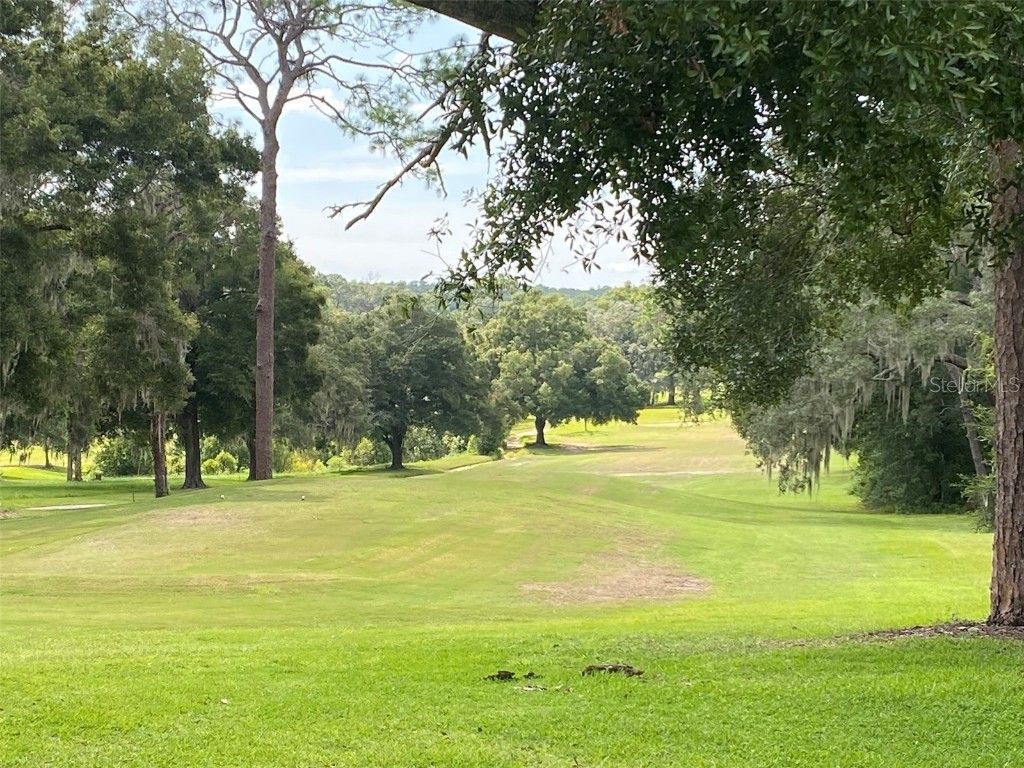 8739 N Upland Drive Citrus Springs FL 34434 T3542843 image6