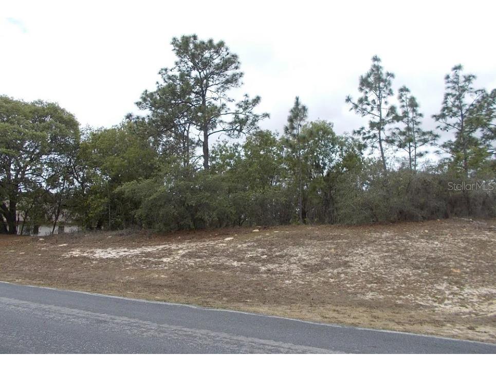 874 N Man O War Drive Inverness FL 34453 J966850 image1