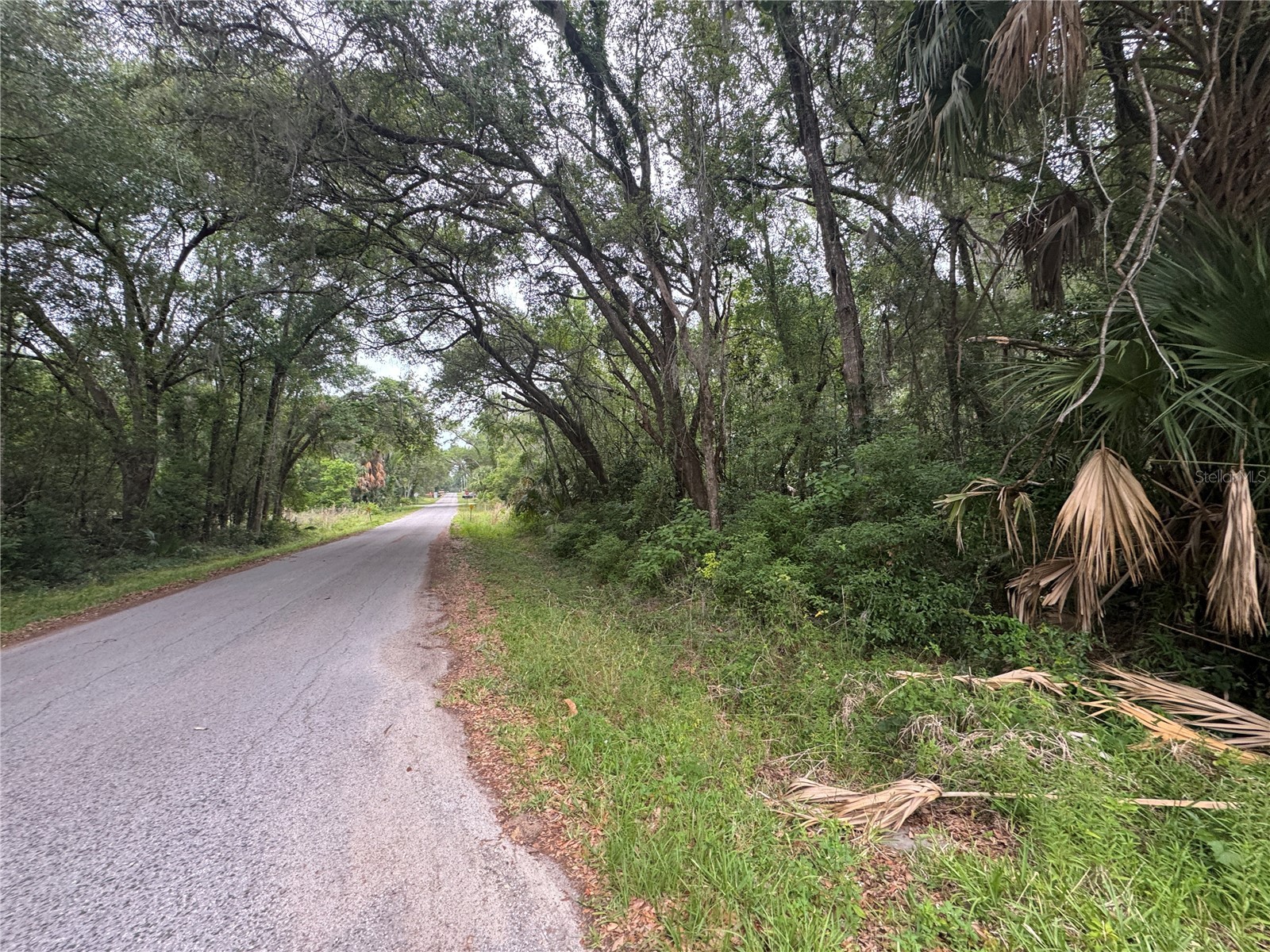874 N Savary Avenue Inverness FL 34453 GC540290 image2