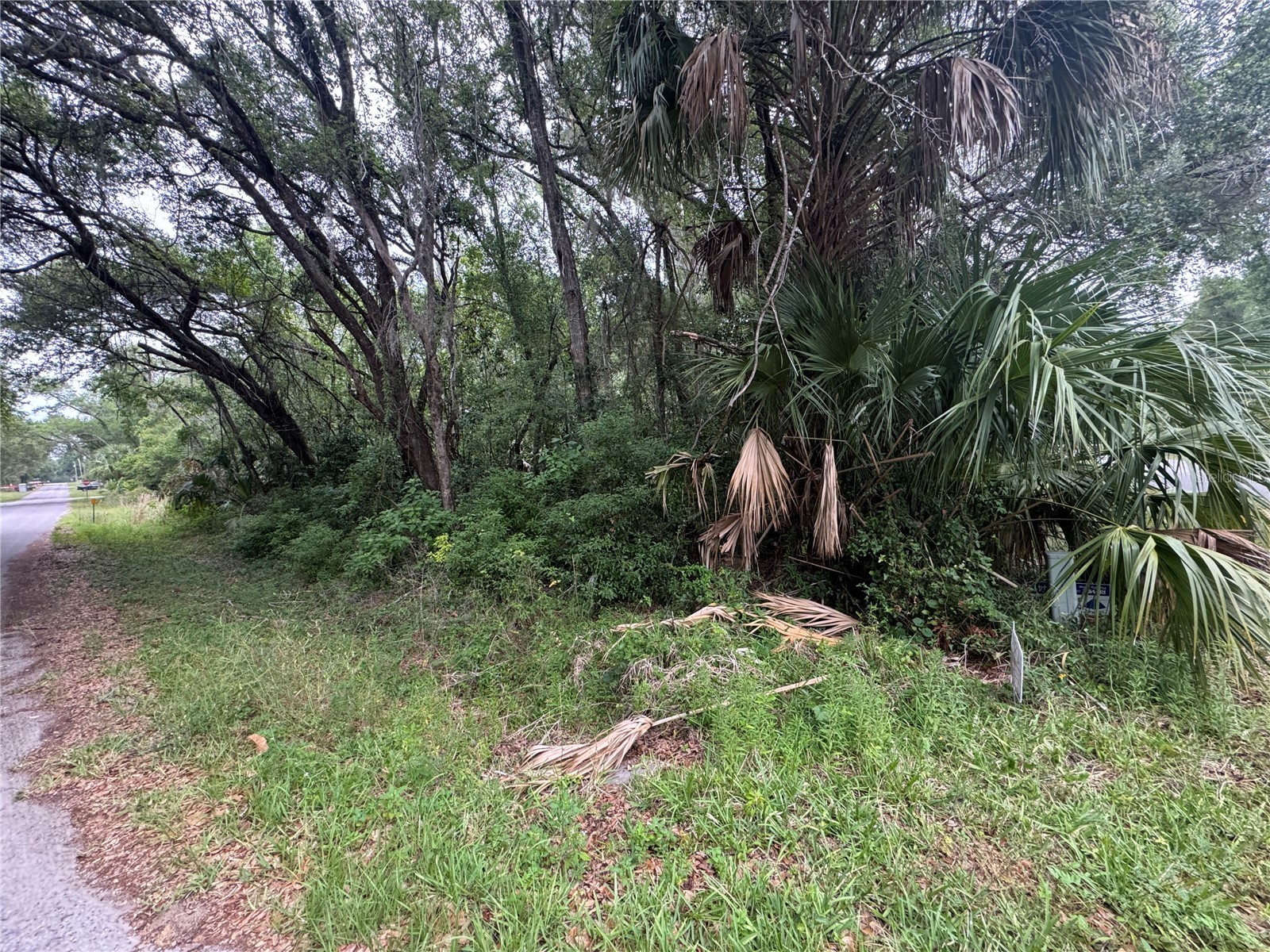 874 N Savary Avenue Inverness FL 34453 GC540290 image3