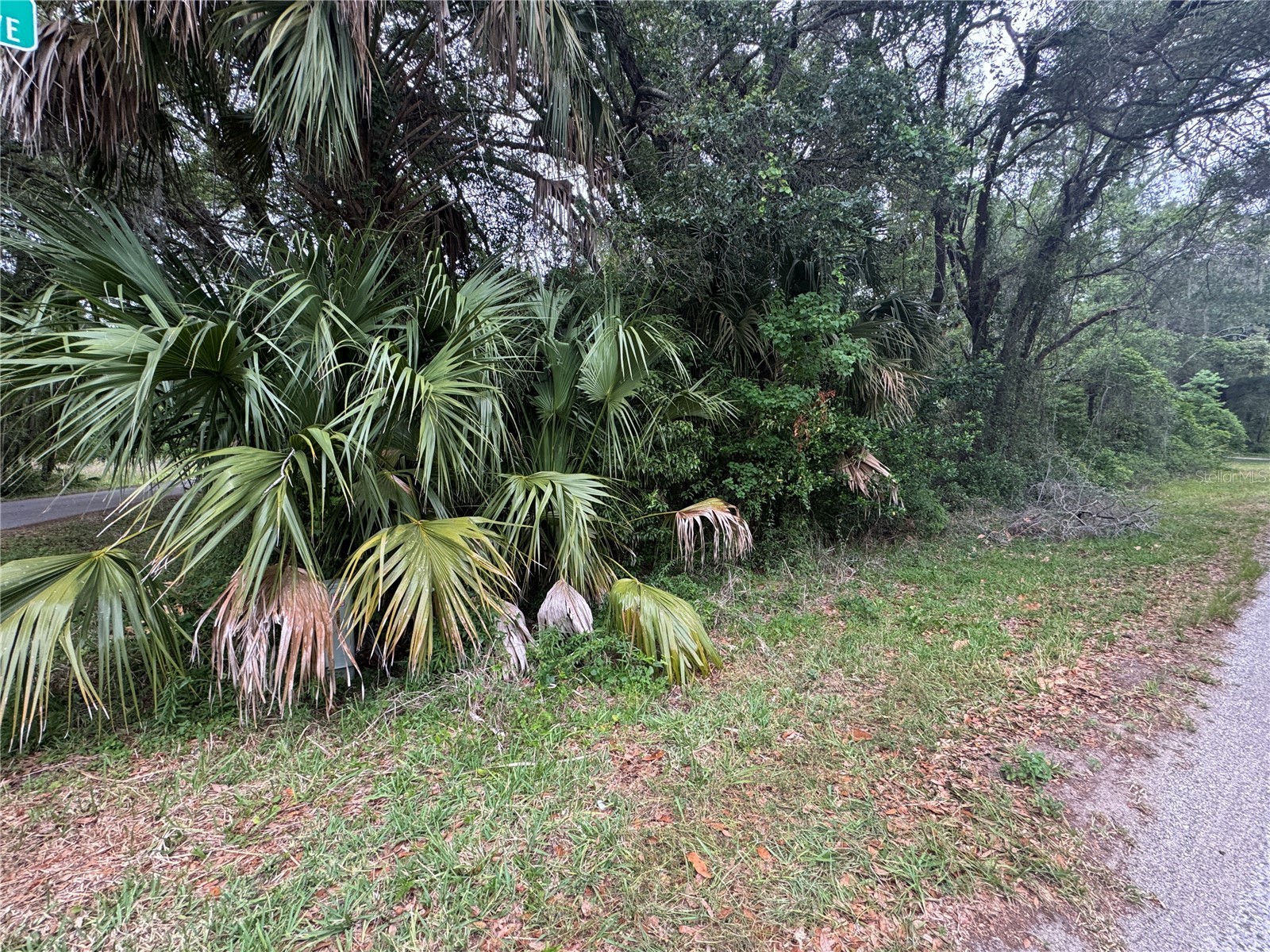 874 N Savary Avenue Inverness FL 34453 GC540290 image4