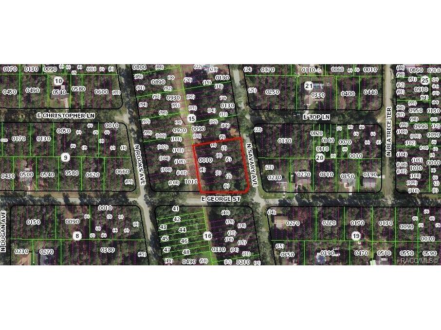 874 N Savary Avenue Inverness FL 34453 GC540290 image5