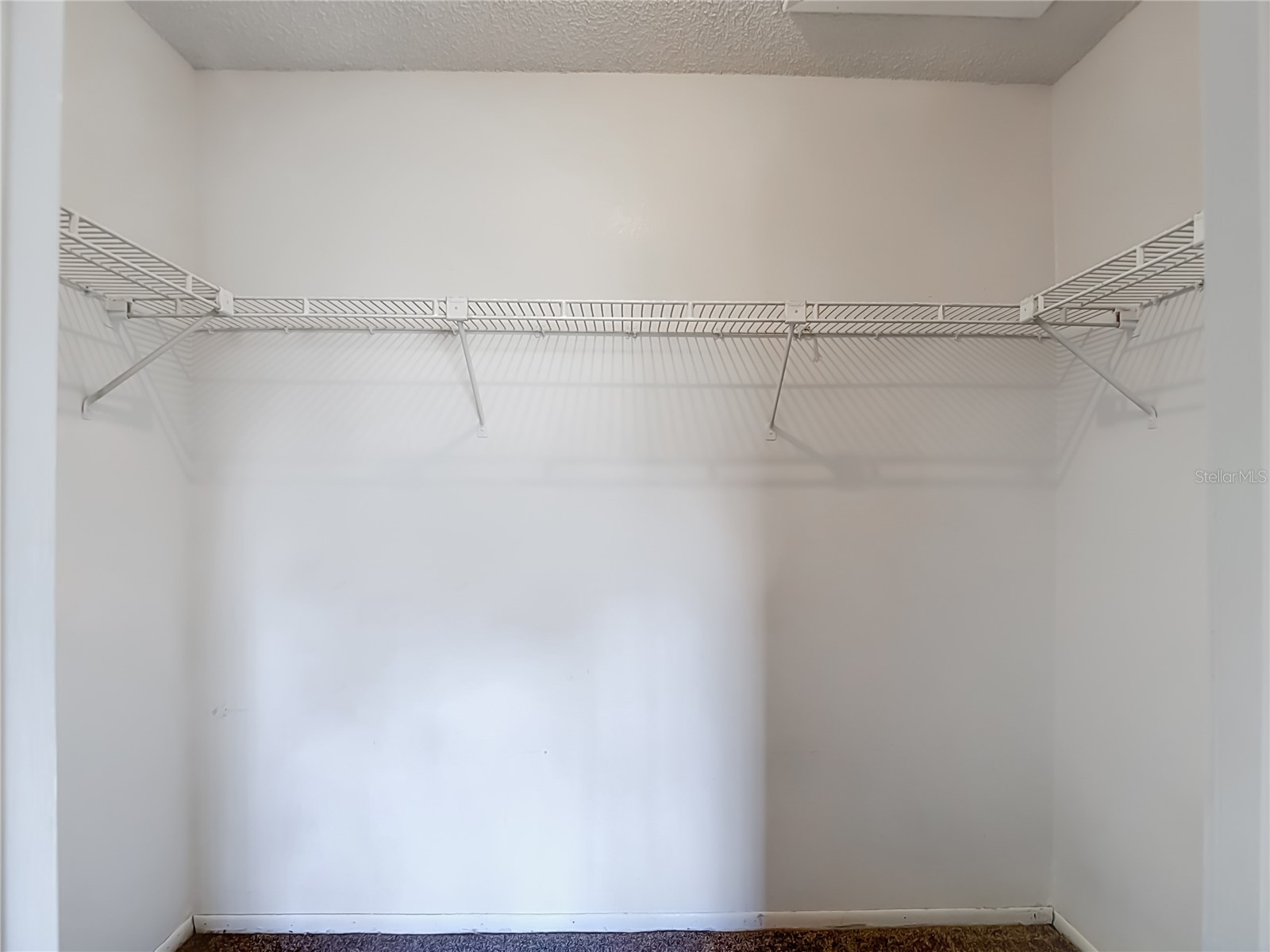 8740 Wabash Lane Port Richey FL 34668 W7886502 image39