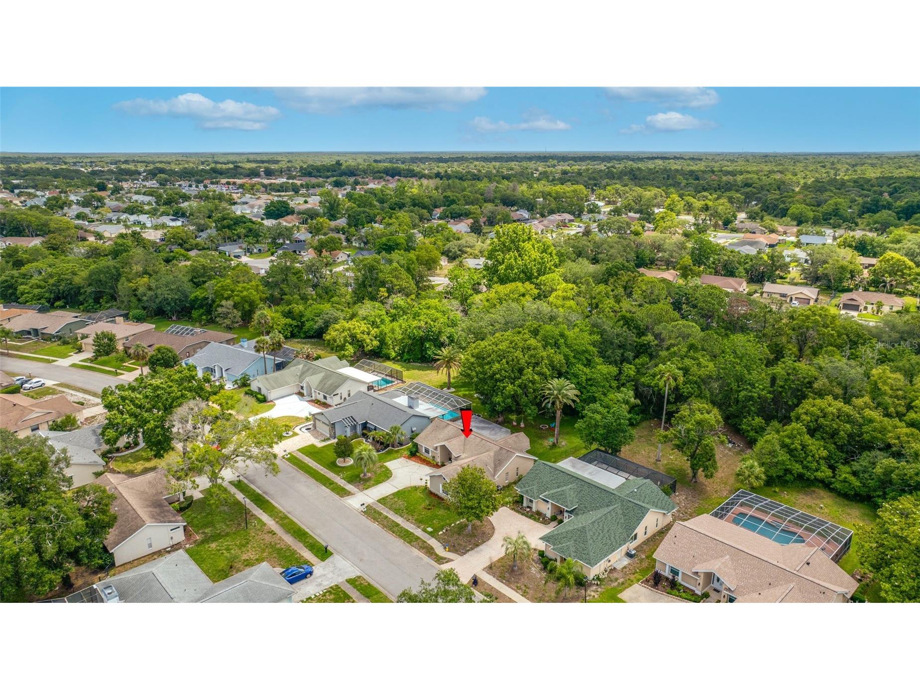 8741 Braxton Drive Hudson FL 34667 TB8513241 image54