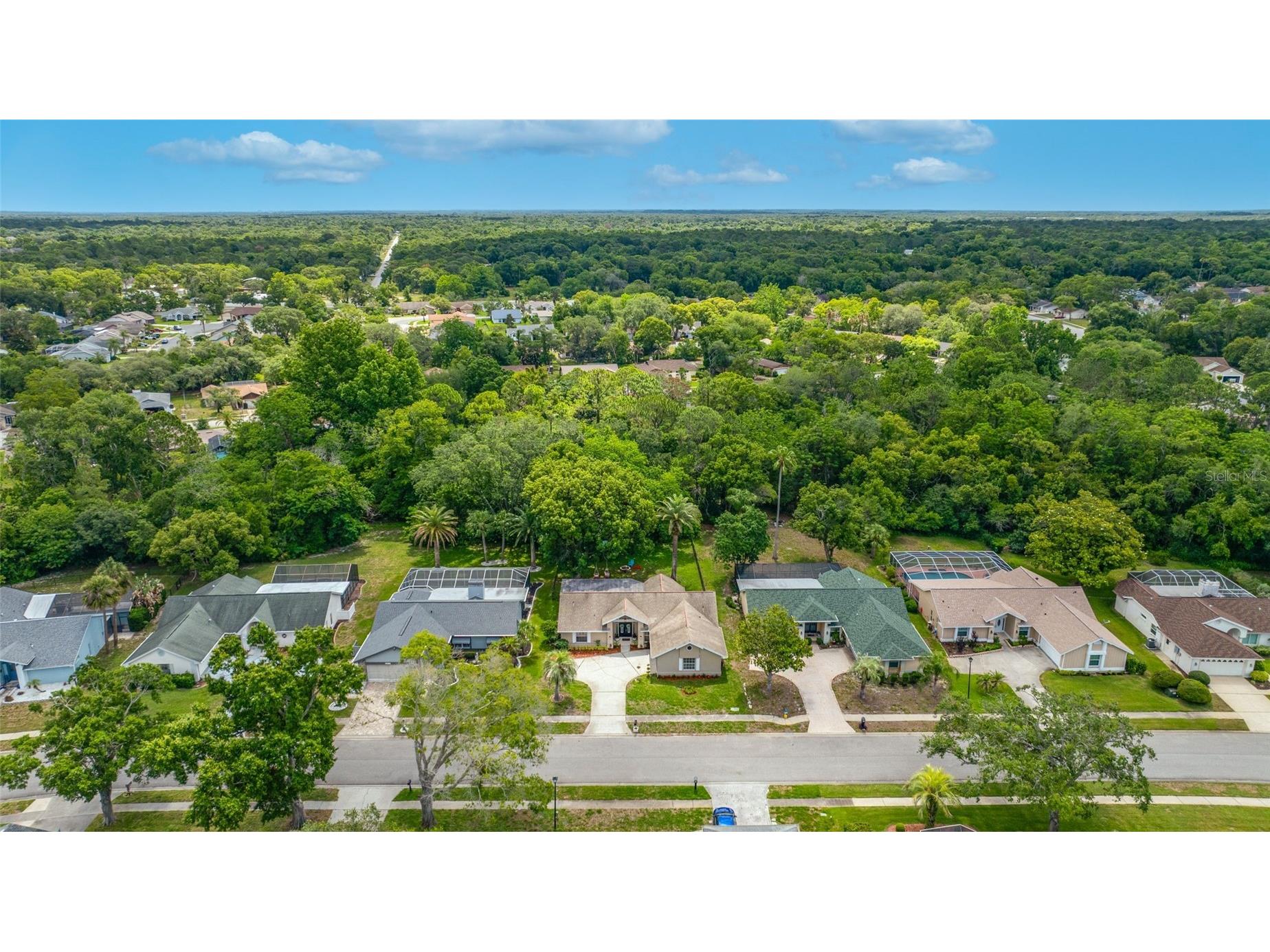 8741 Braxton Drive Hudson FL 34667 TB8513241 image56