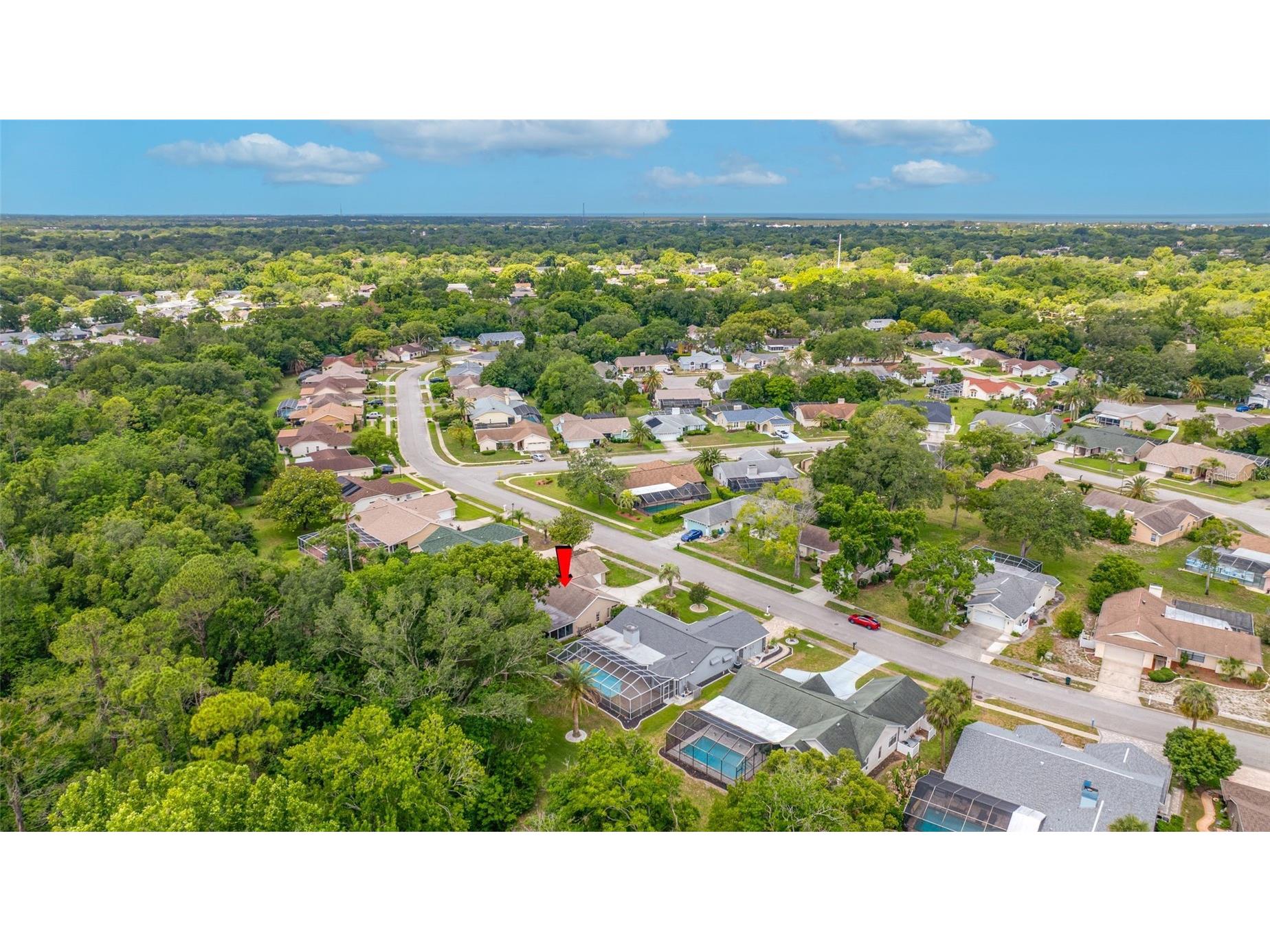 8741 Braxton Drive Hudson FL 34667 TB8513241 image57