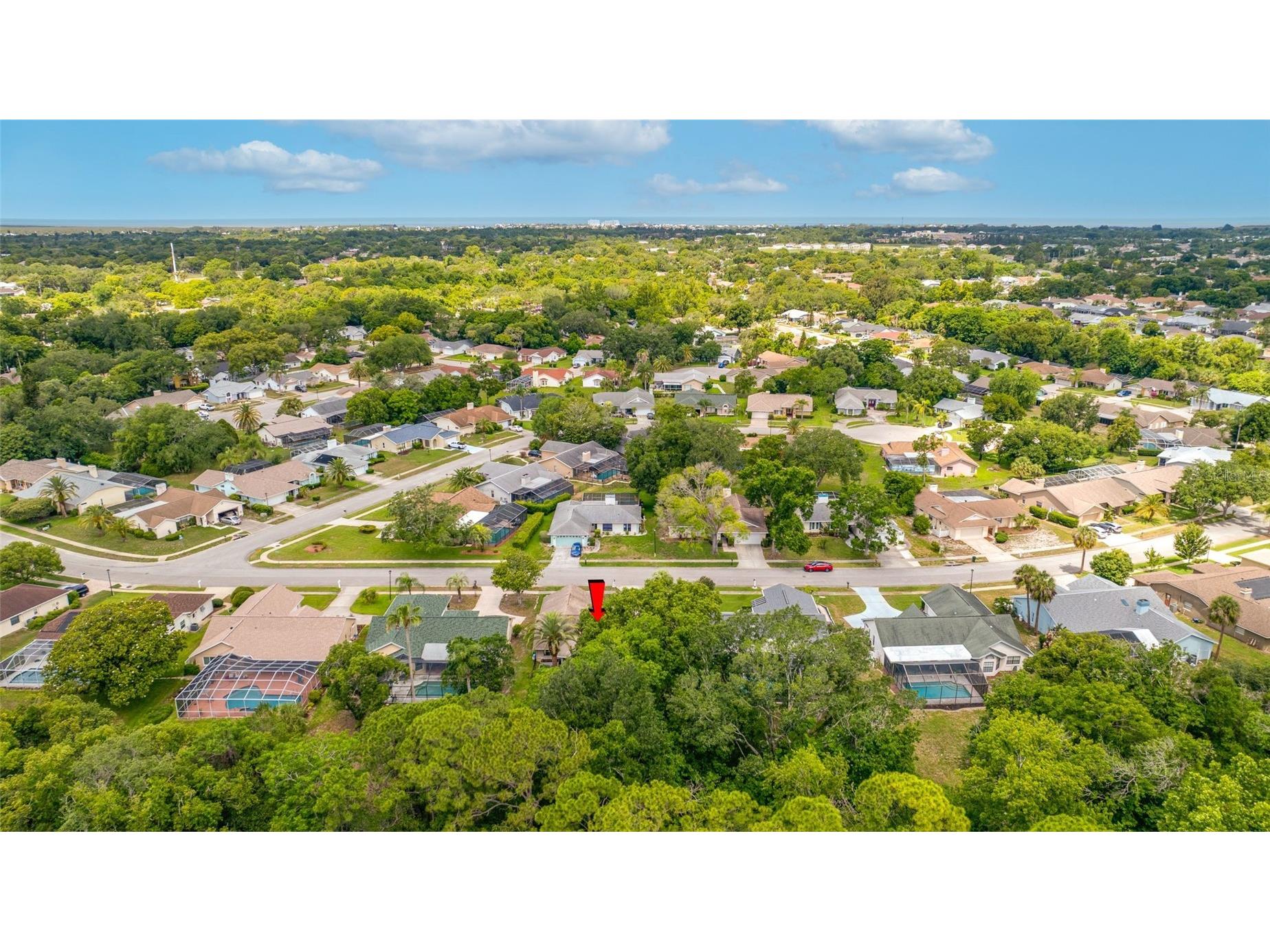 8741 Braxton Drive Hudson FL 34667 TB8513241 image58