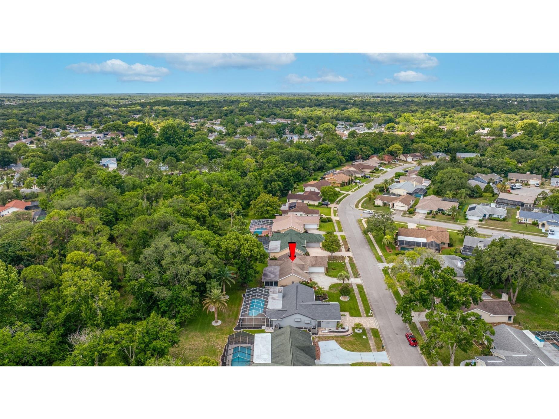 8741 Braxton Drive Hudson FL 34667 TB8513241 image60