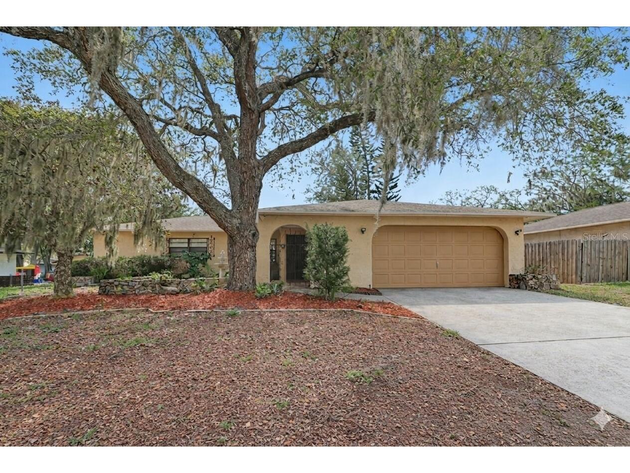 8741 Elm Leaf Court Port Richey FL 34668 TB8507780 image1