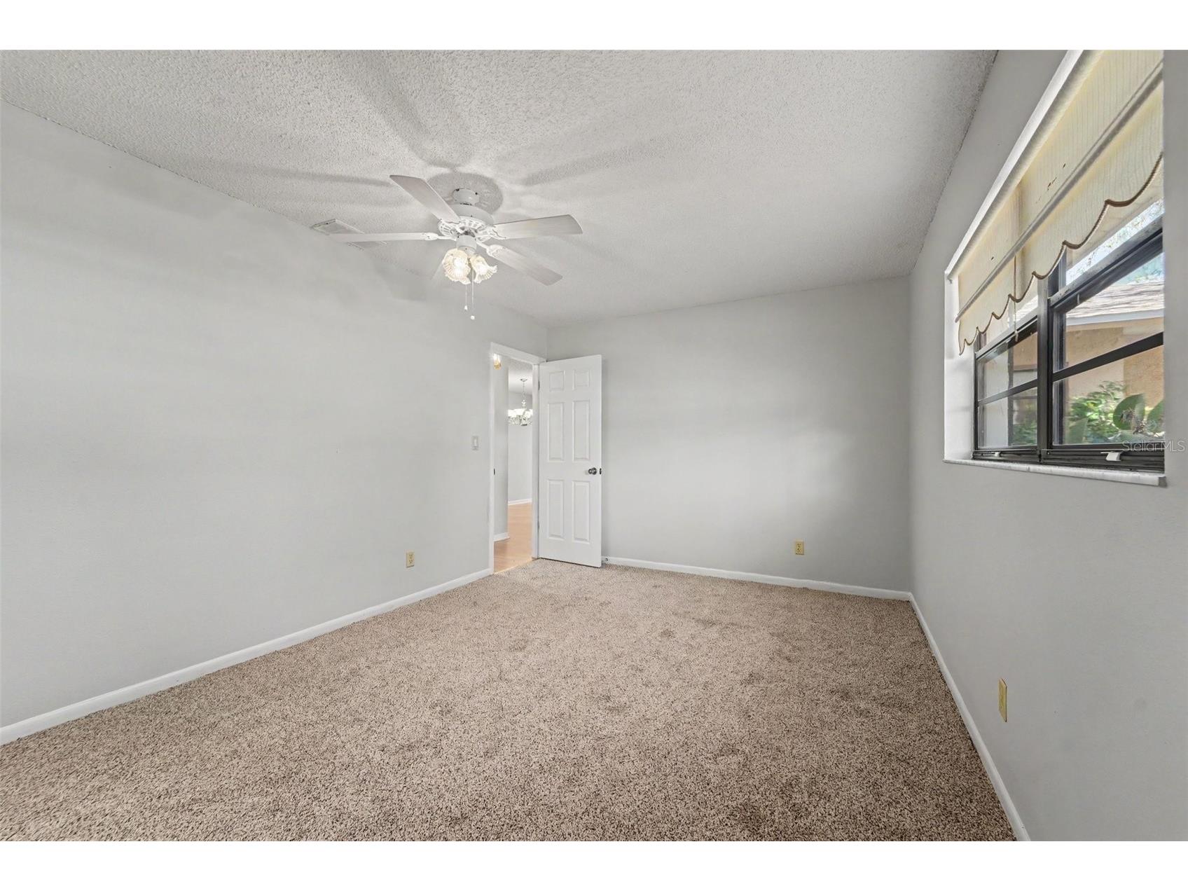 8741 Elm Leaf Court Port Richey FL 34668 TB8507780 image23