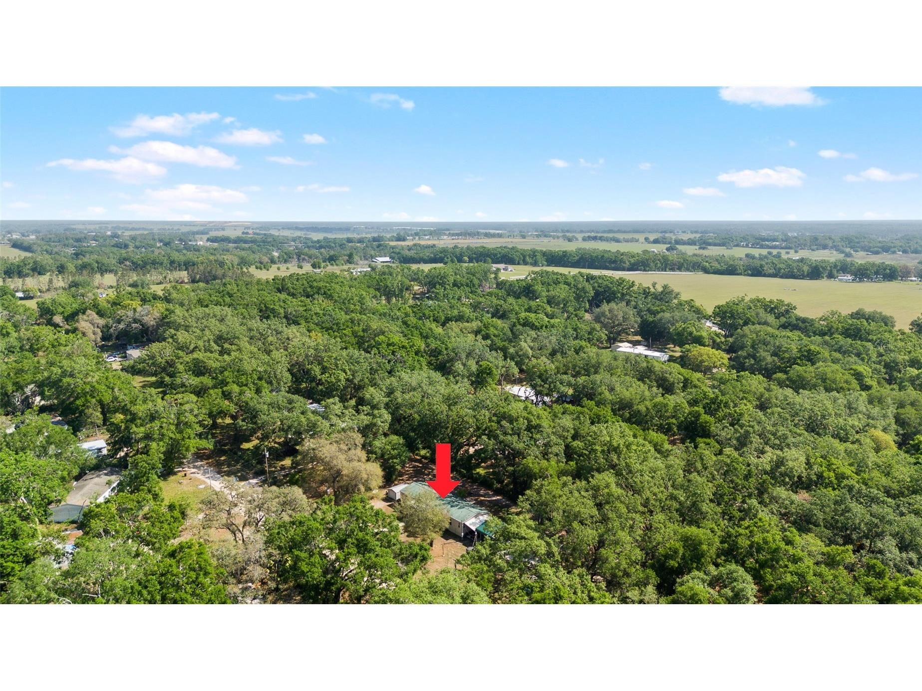 8742 Brazil Zephyrhills FL 33540 TB8471223 image37