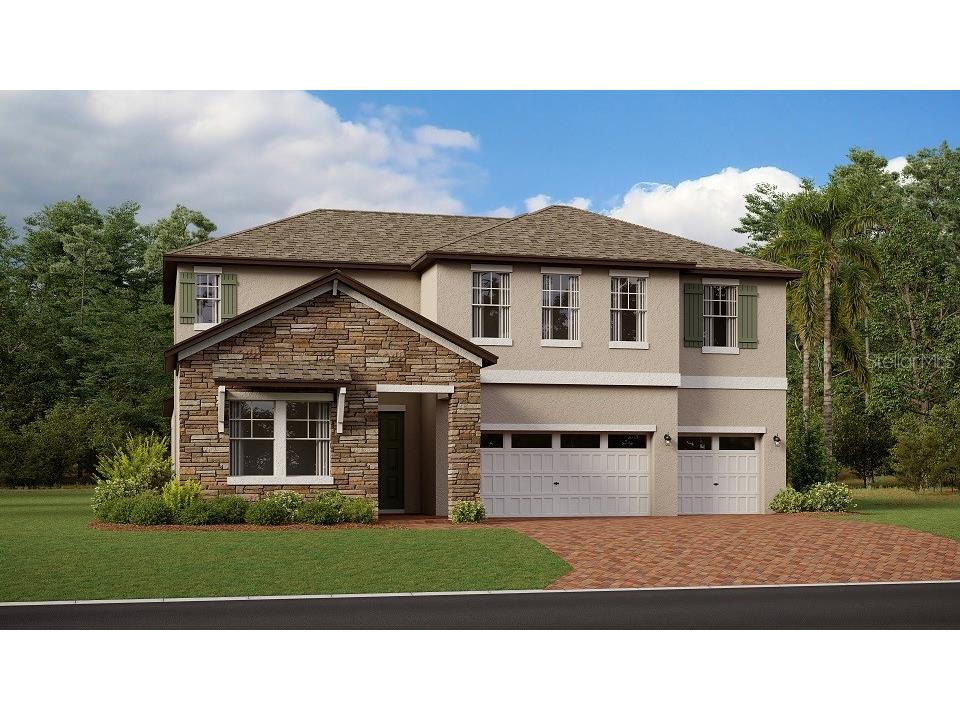 8742 Little Bluestem Drive Land O Lakes FL 34637 T3458467 image1
