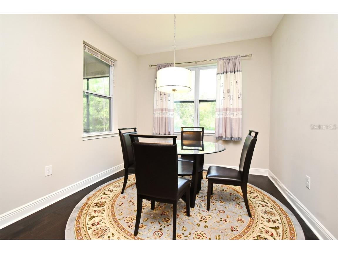 8742 Peachtree Park Ct Windermere FL 34786 O6301023 image14