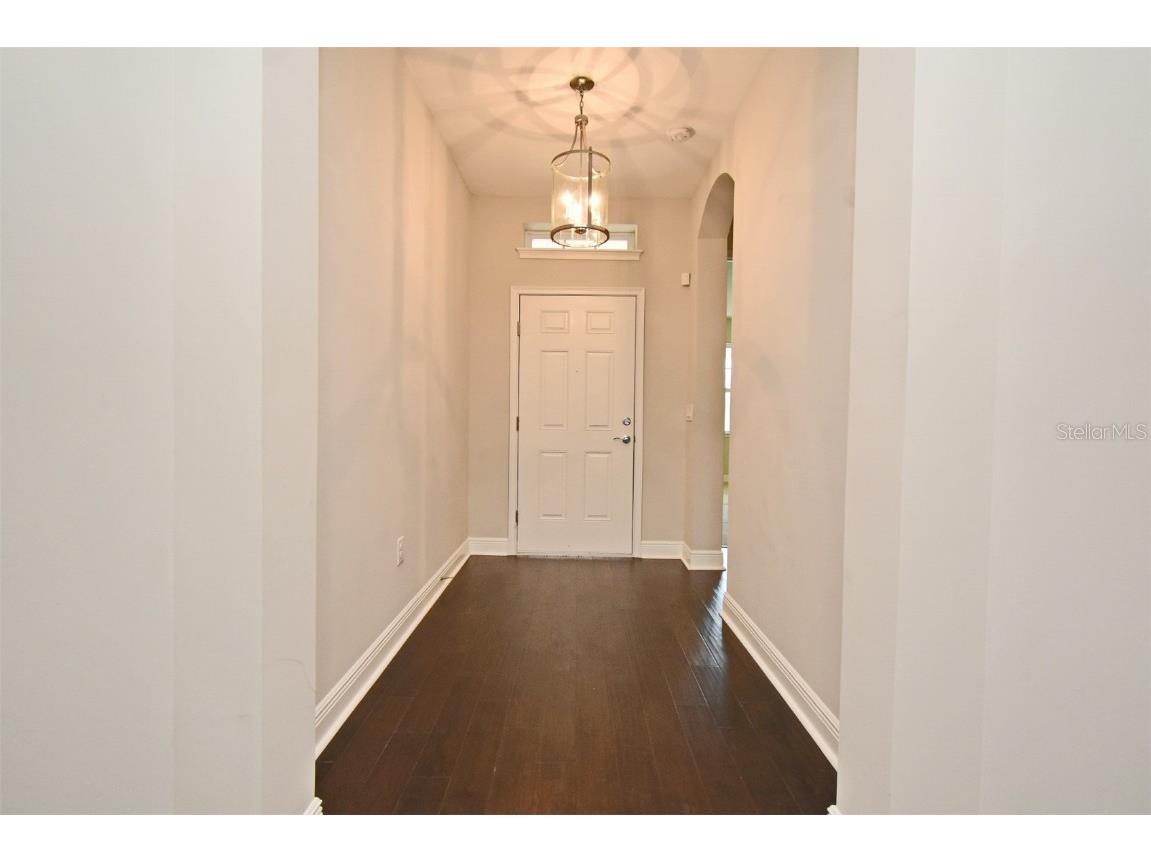 8742 Peachtree Park Ct Windermere FL 34786 O6301023 image3