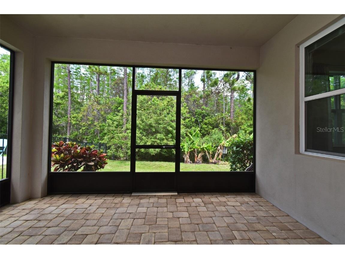 8742 Peachtree Park Ct Windermere FL 34786 O6301023 image30