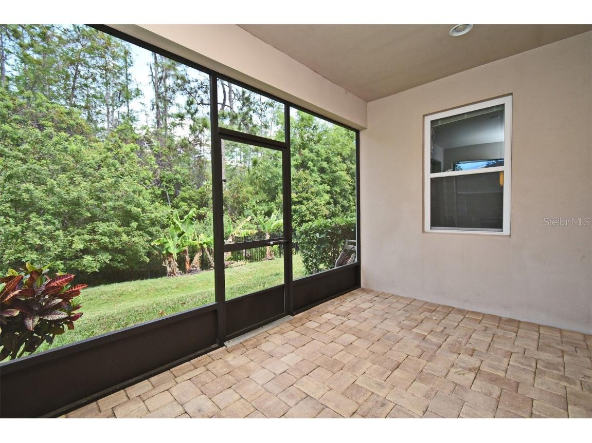 8742 Peachtree Park Ct Windermere FL 34786 O6301023 image31