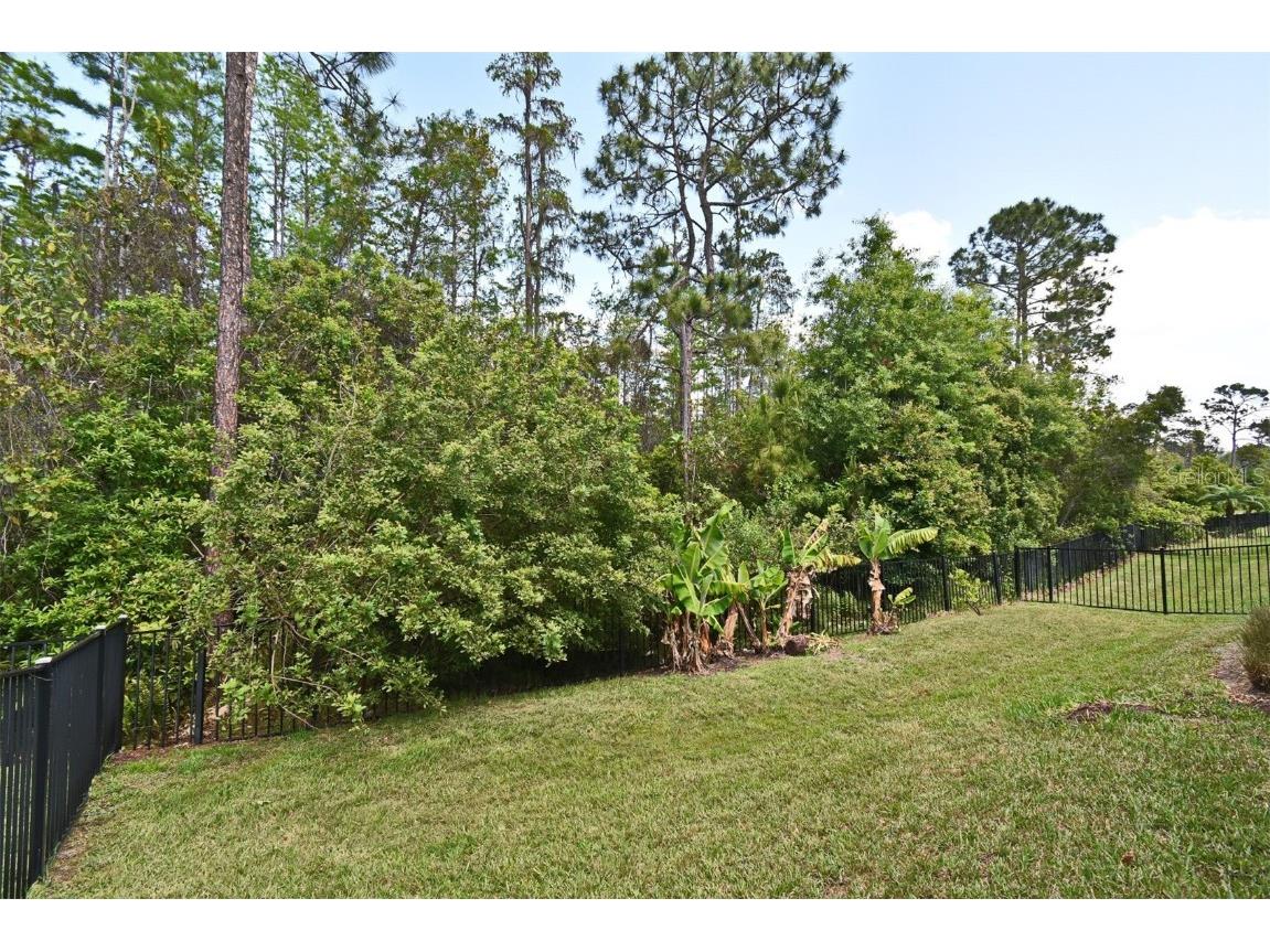 8742 Peachtree Park Ct Windermere FL 34786 O6301023 image33