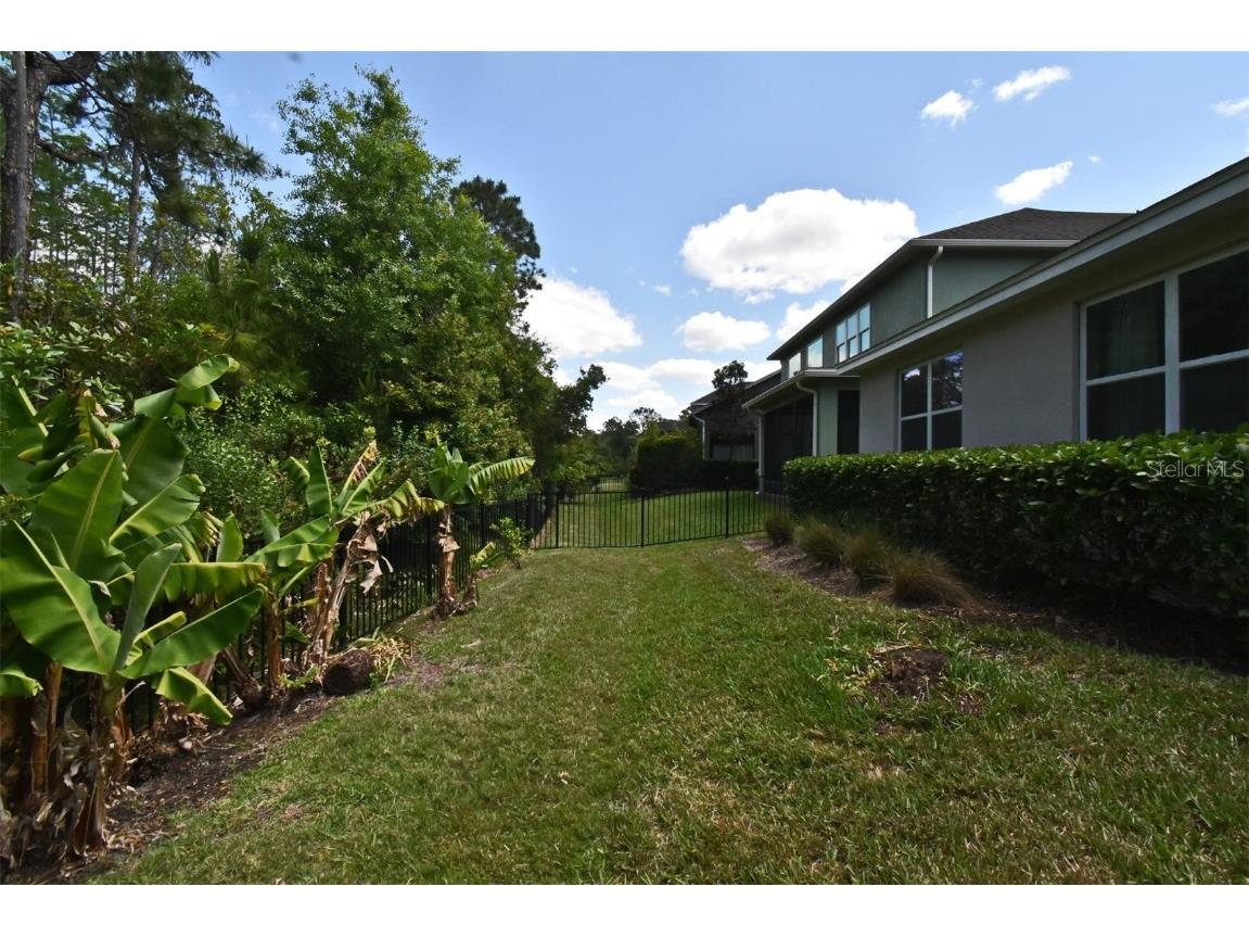 8742 Peachtree Park Ct Windermere FL 34786 O6301023 image35