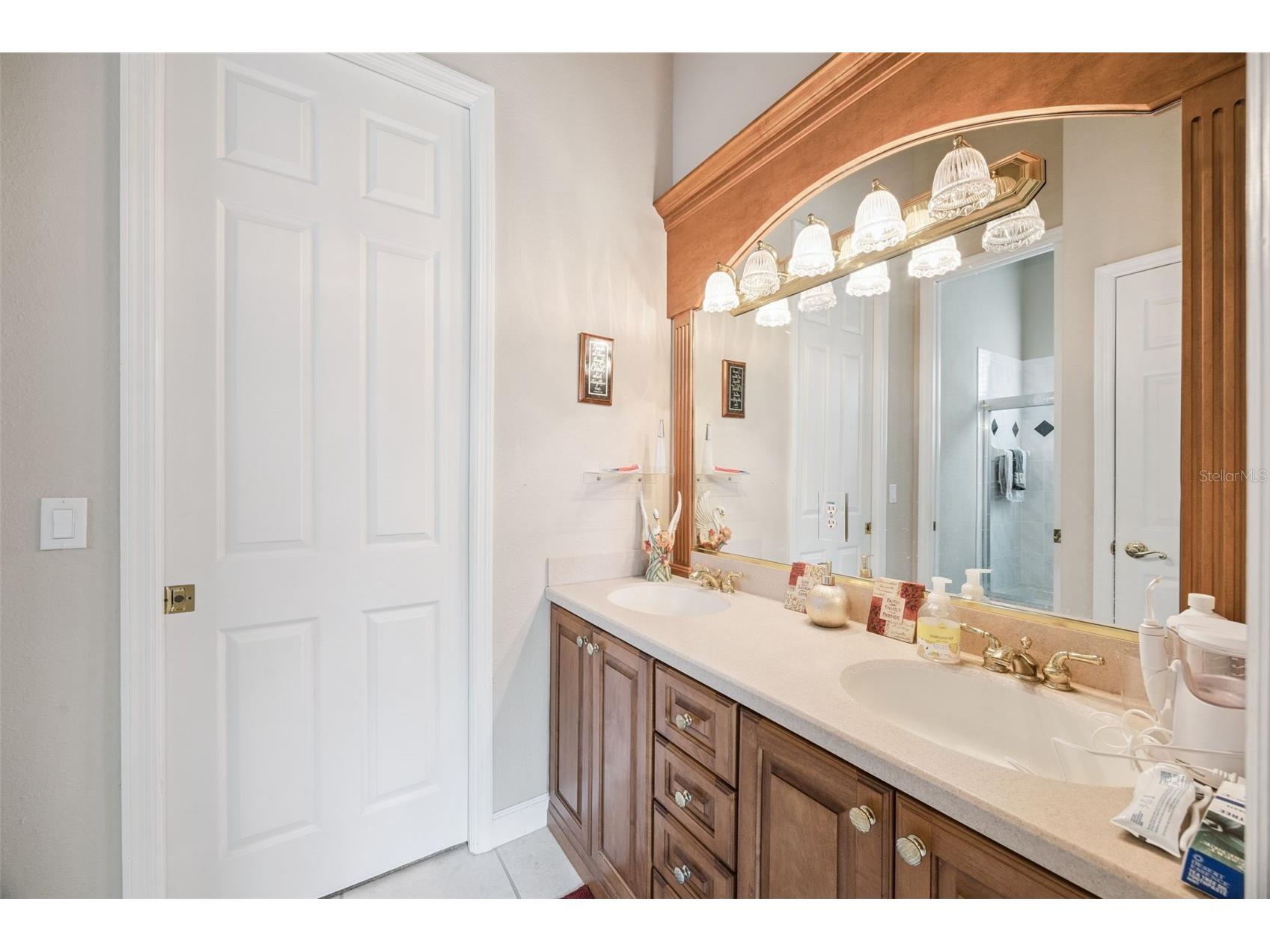 8742 Southern Breeze Drive Orlando FL 32836 - Big Sand Lake O6389419 image45
