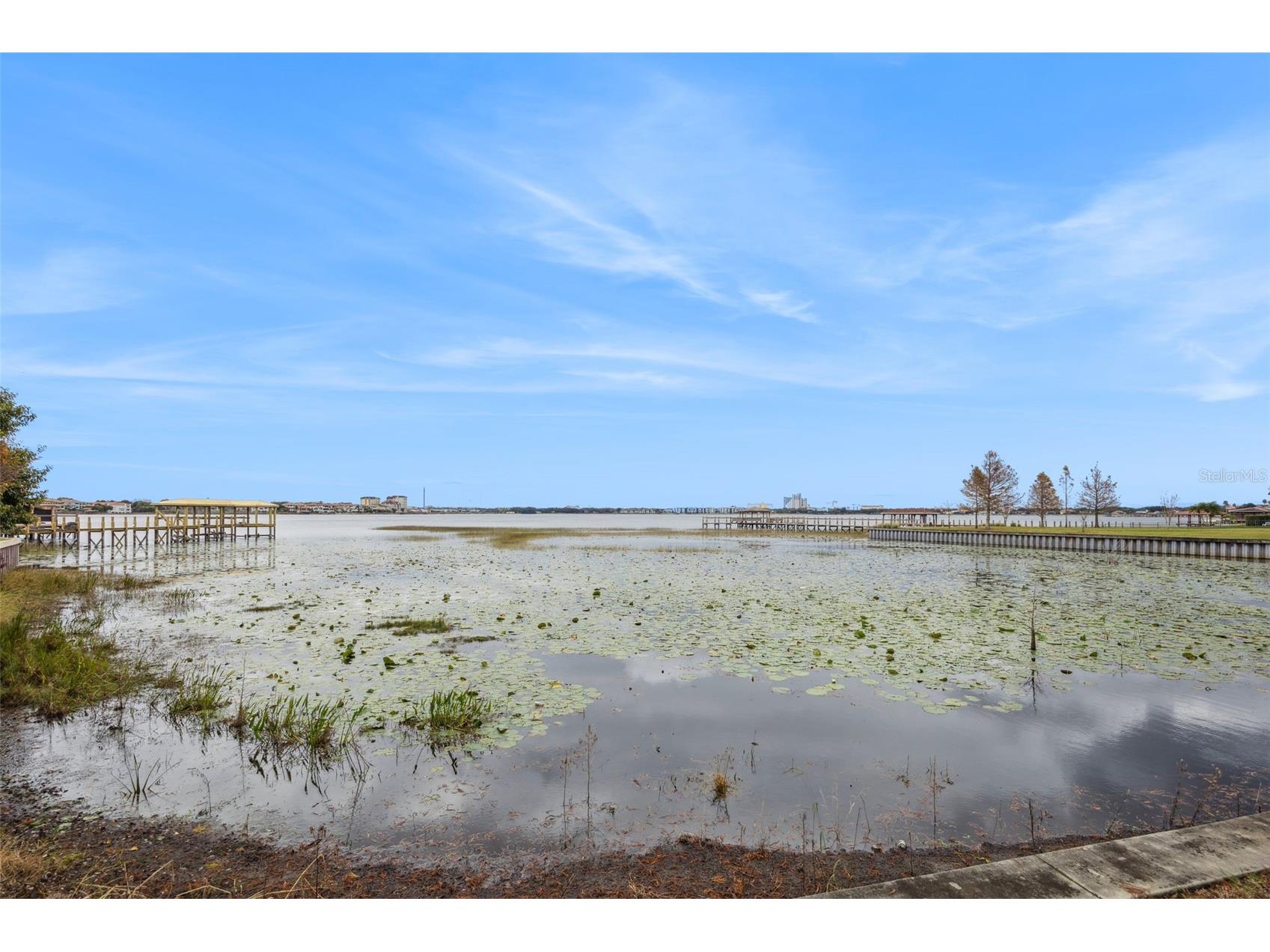 8742 Southern Breeze Drive Orlando FL 32836 - Big Sand Lake O6389419 image65