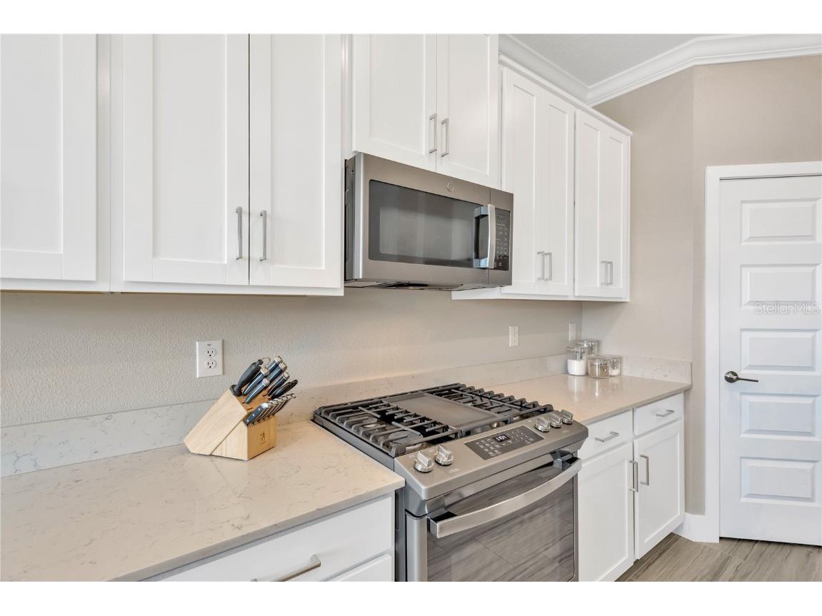 8742 Winning Fields Road New Port Richey FL 34655 TB8449497 image6