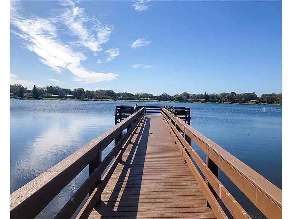 8743 Alegre Circle Orlando FL 32836 O6356453 image51