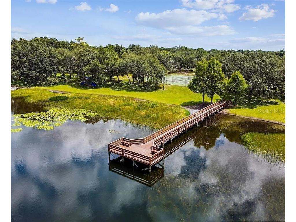 8743 Alegre Circle Orlando FL 32836 O6356453 image53