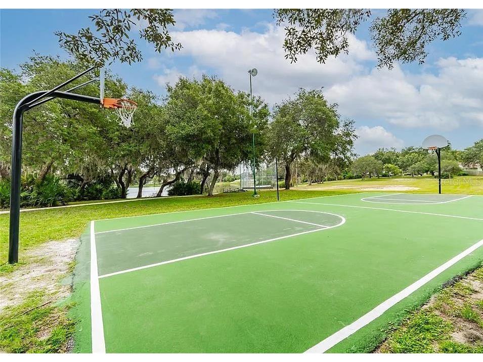 8743 Alegre Circle Orlando FL 32836 O6356453 image57