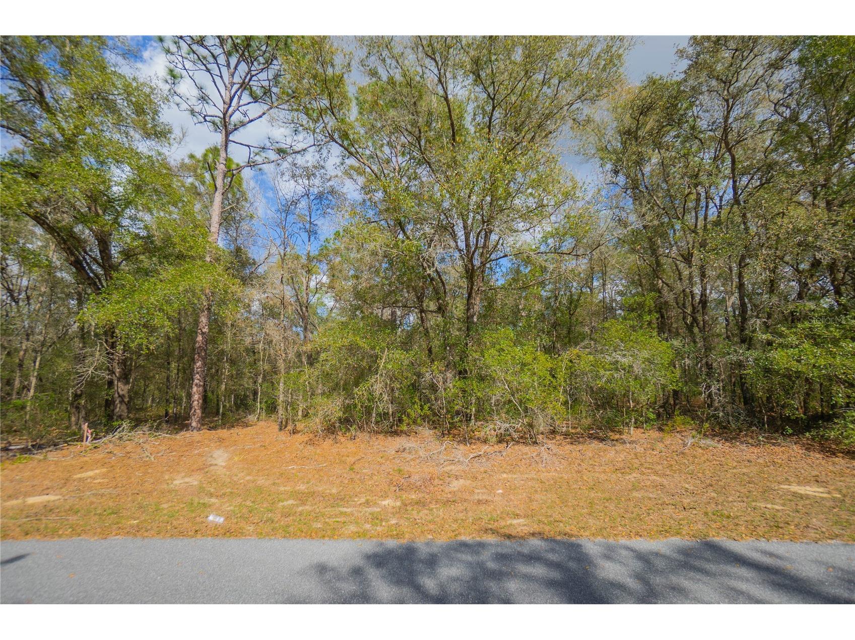 8743 N Sandree Drive Citrus Springs FL 34434 W7883997 image1