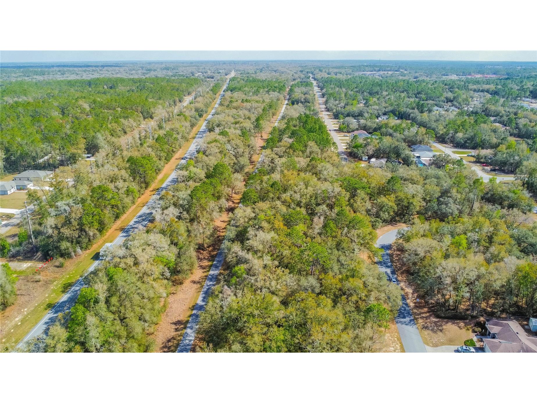 8743 N Sandree Drive Citrus Springs FL 34434 W7883997 image10