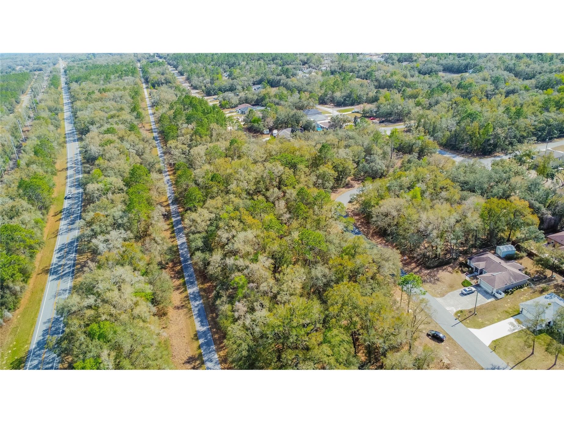 8743 N Sandree Drive Citrus Springs FL 34434 W7883997 image11