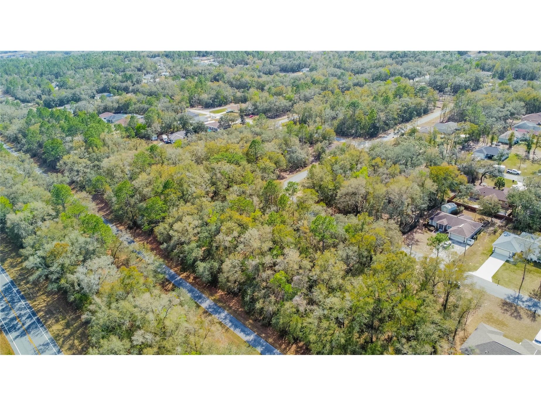 8743 N Sandree Drive Citrus Springs FL 34434 W7883997 image12